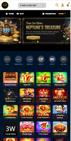App Interface